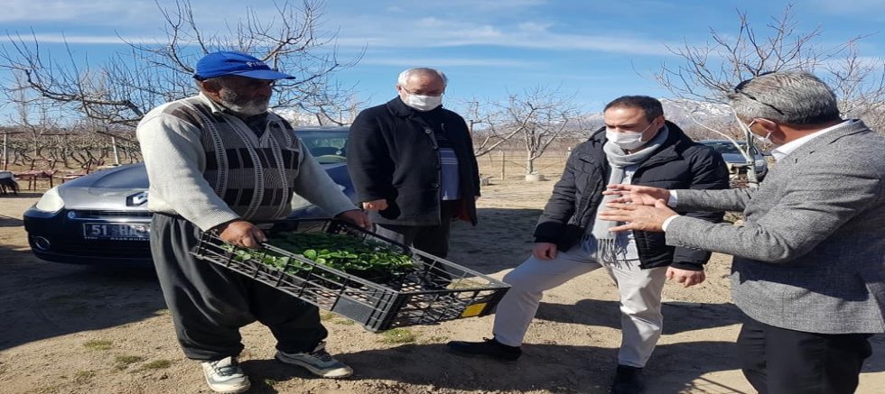 Altunhisar ilçesinde ketencik bitkisi ekimi yapıldı